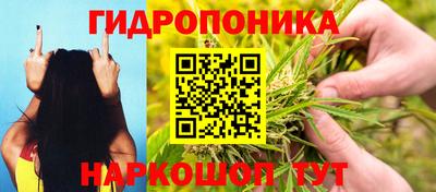 винт Обь