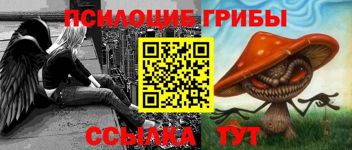 Галлюциногенные грибы Cubensis Сибай