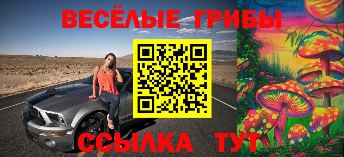 Сибай  Галлюциногенные грибы мухоморы  Псилоцибиновые грибы мицелий  Вход с VPN 